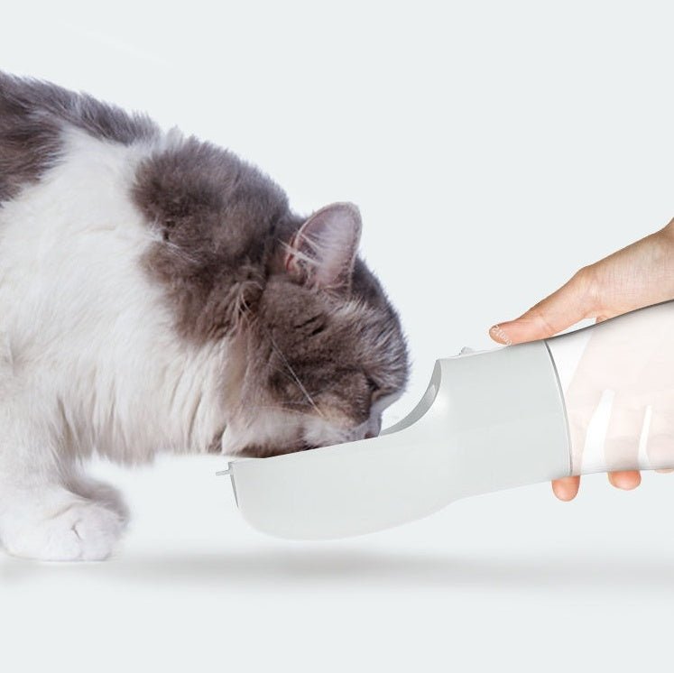 Traveling Out Portable Dog Water Dispenser - Davere GoodsPink